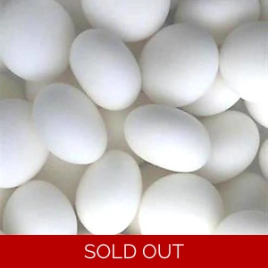 Ross's Medium Pan Drops - Mint Candy Sweets - Ross's of Edinburgh